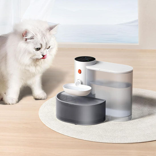 chat blanc boit dans fontaine a eau chat automatique