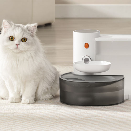 chat blanc boit dans fontaine a eau chat automatique