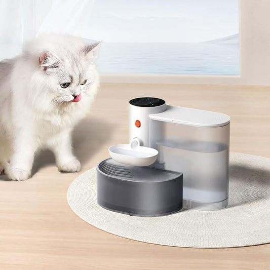 chat blanc boit dans fontaine a eau chat automatique