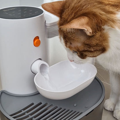 chat gris boit dans fontaine a eau chat automatique